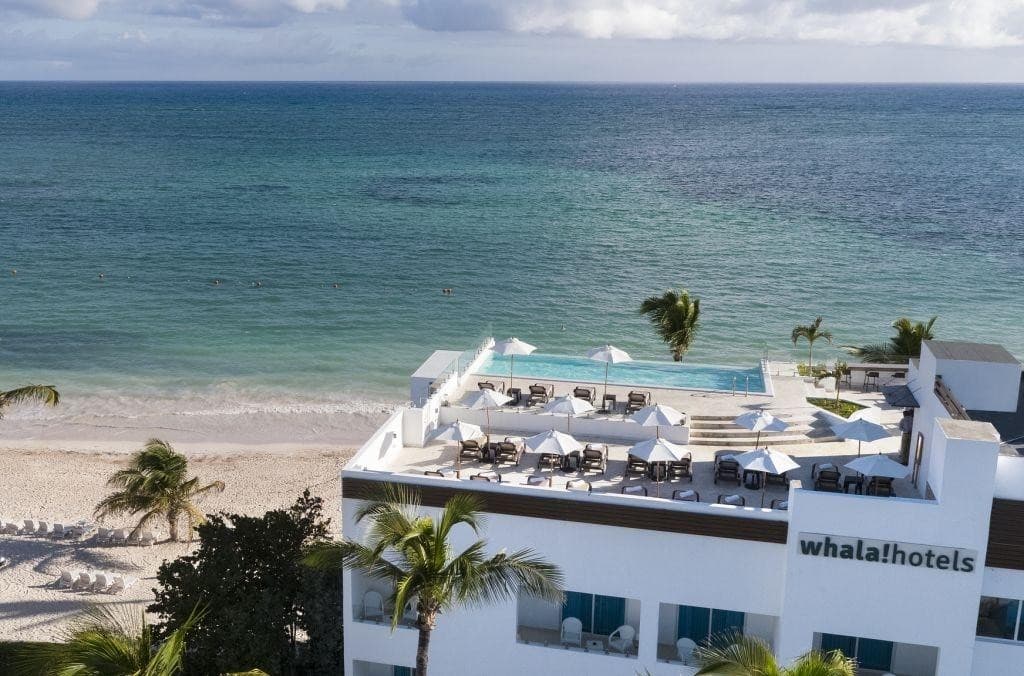 Whala!Bavaro