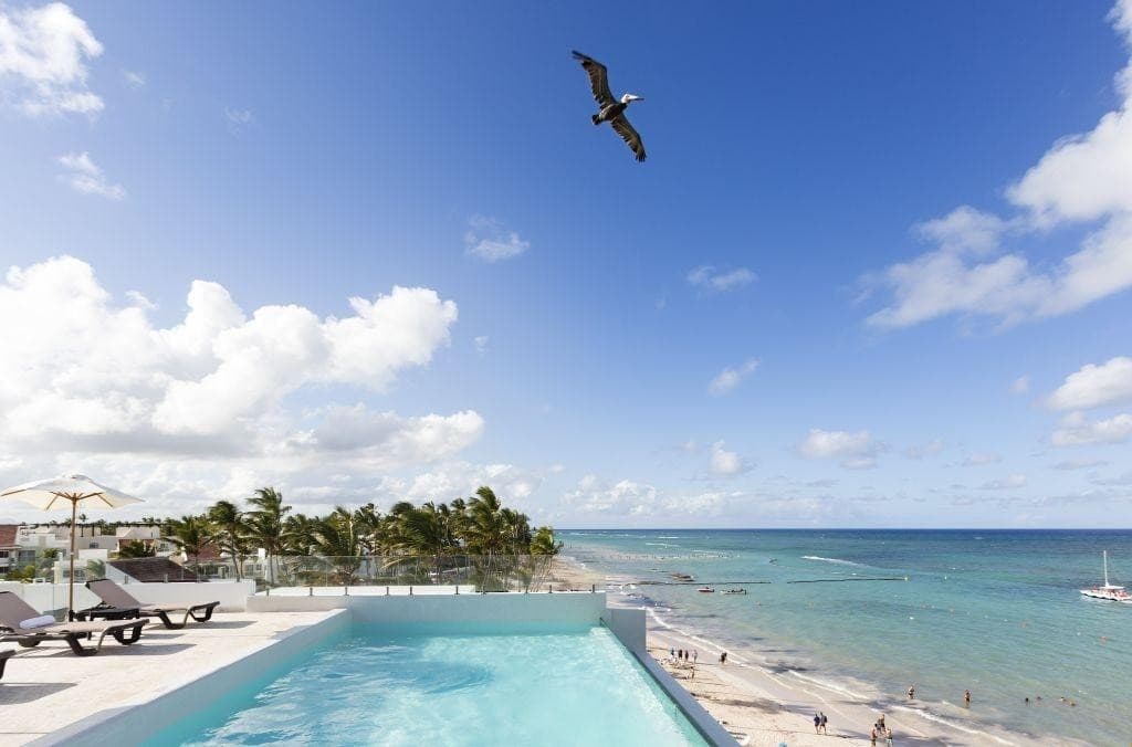 Whala!Bavaro