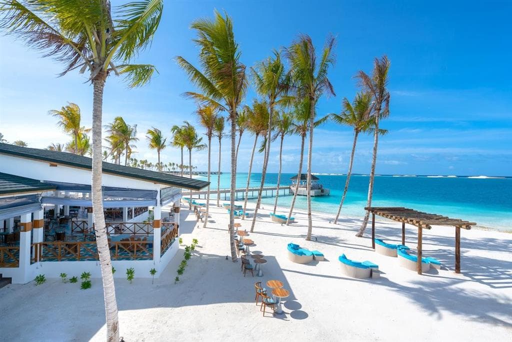 Joy Island