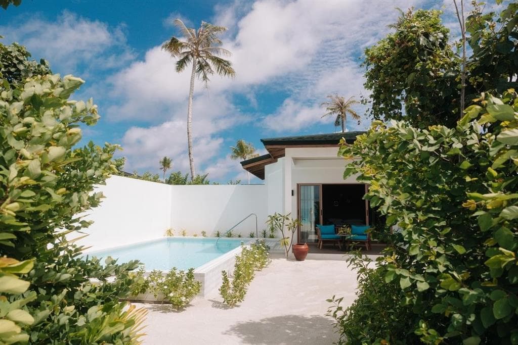 Joy Island