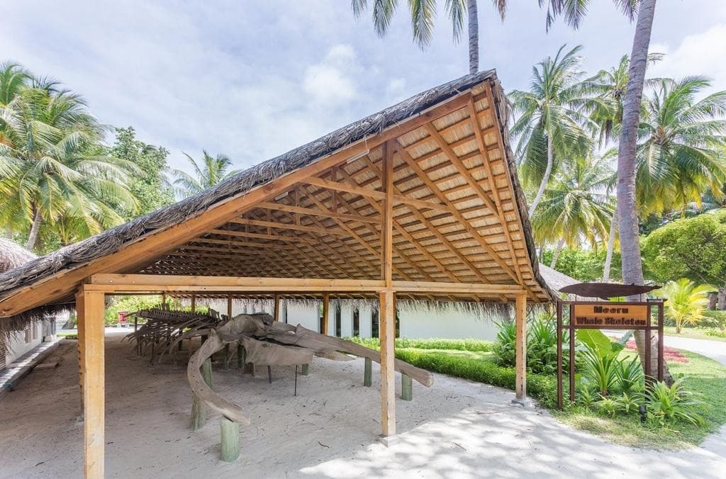 Meeru Island Resort & Spa