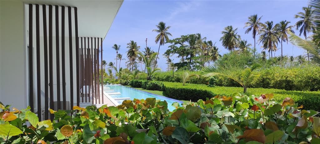 Serenade Punta Cana Beach & Spa Resort