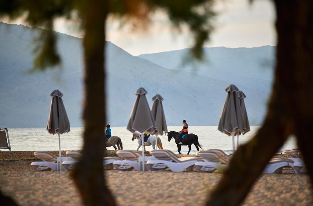 Mythos Palace Resort &  Spa