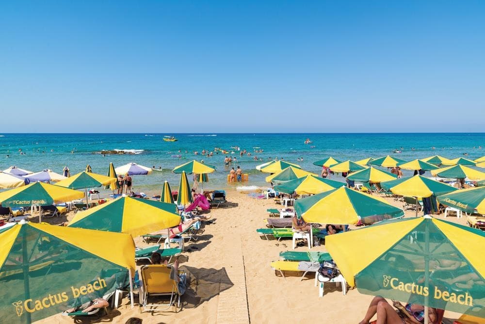 Cactus Beach