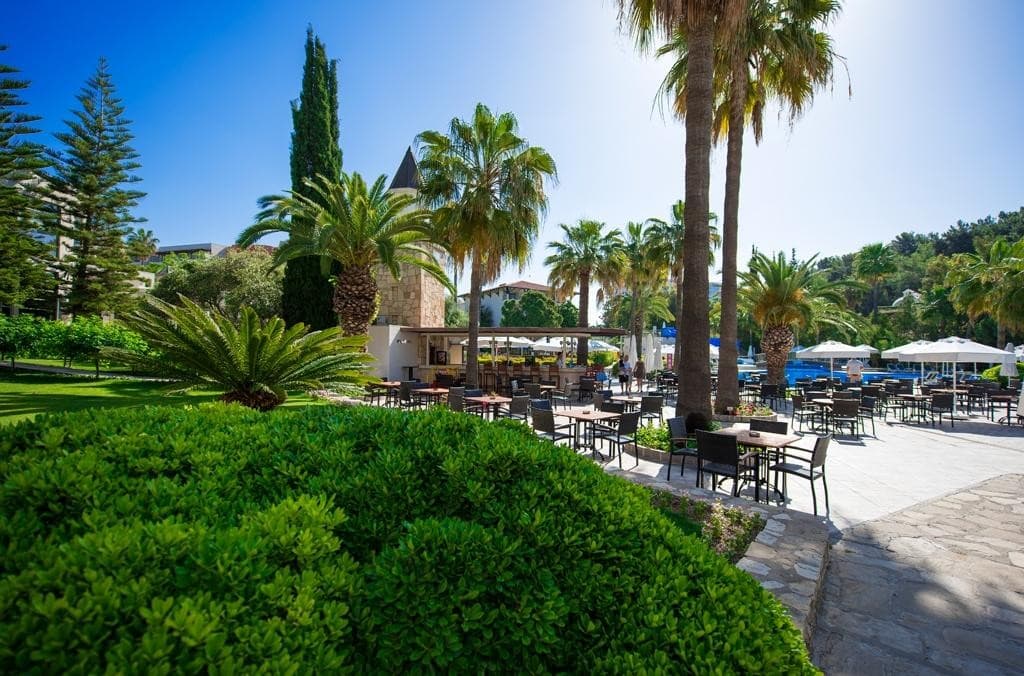 Barut Hemera
