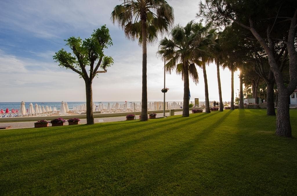 Barut Hemera