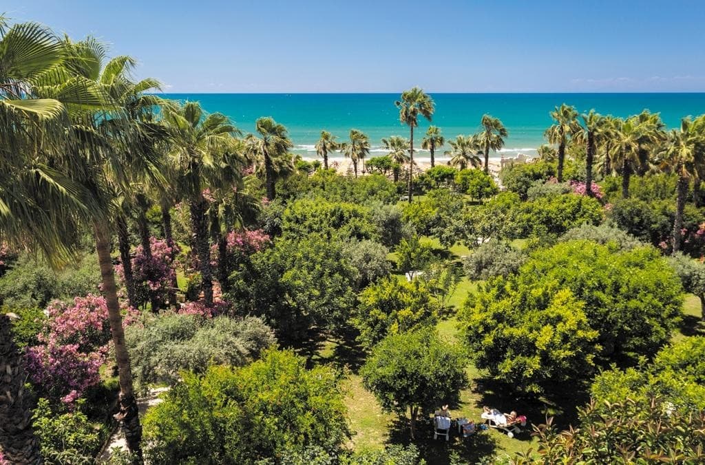 Defne Ana
