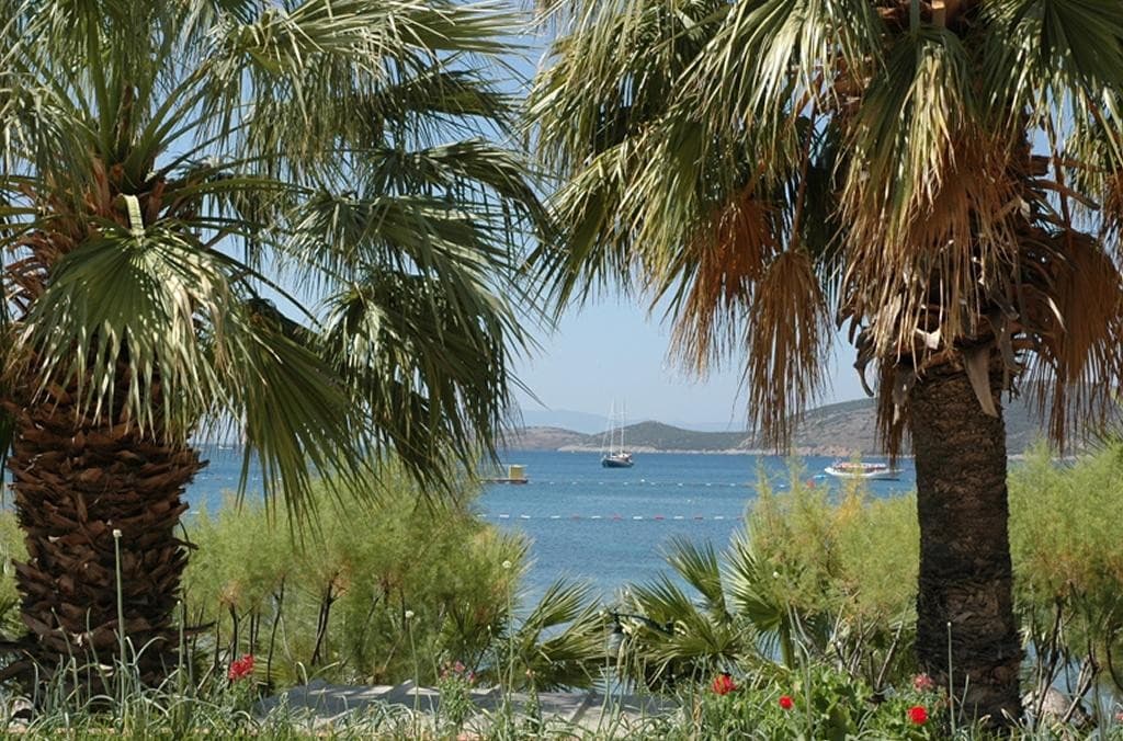 Sami Beach