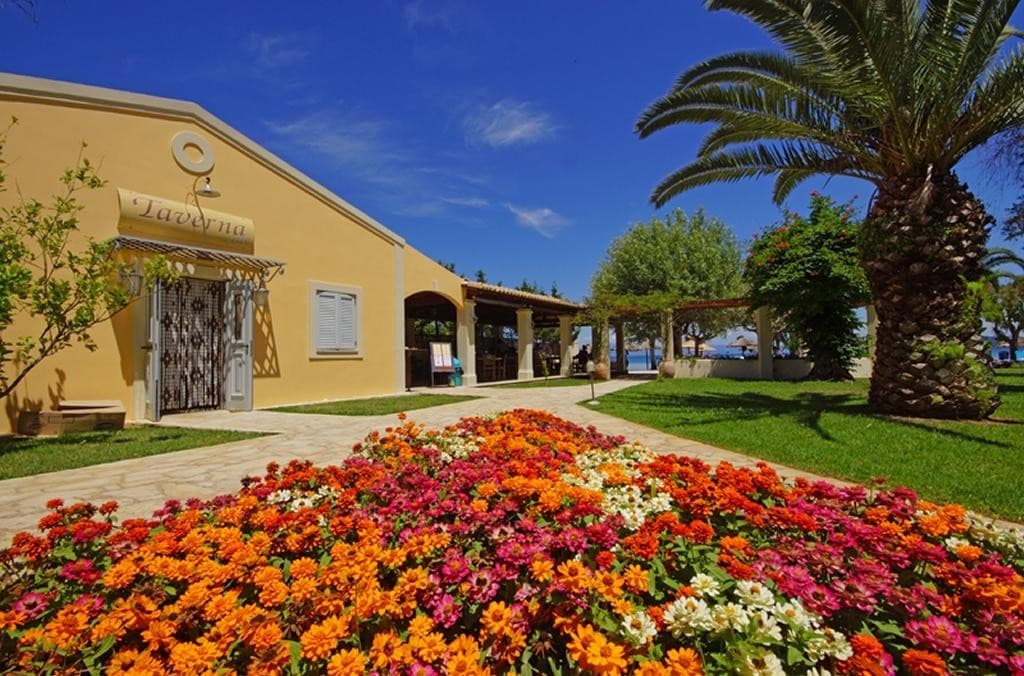 Delfinia