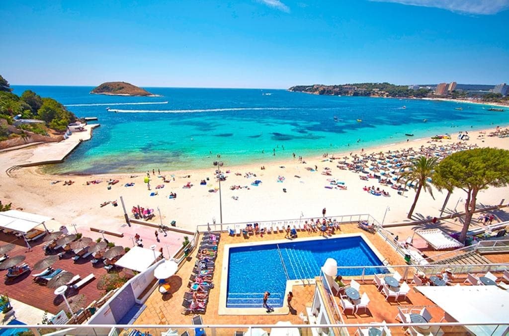 Flamboyan Caribe