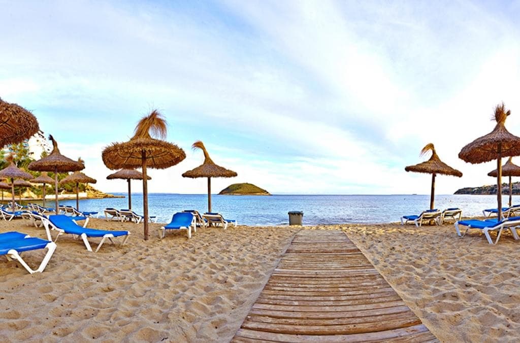 Flamboyan Caribe