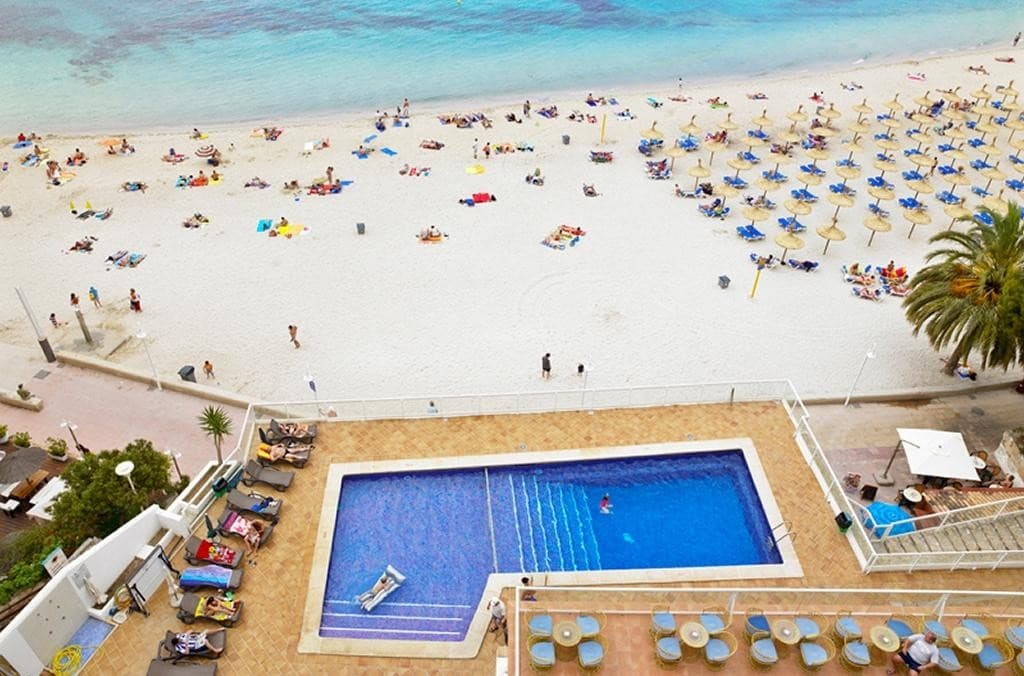 Flamboyan Caribe