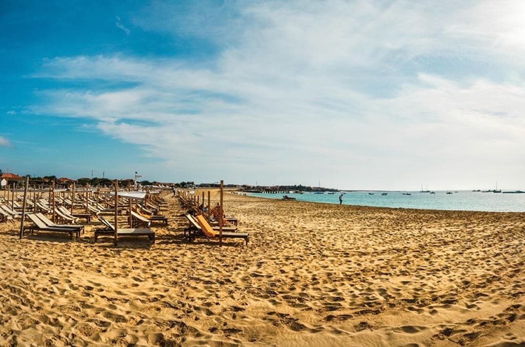 OA Salinas Sea