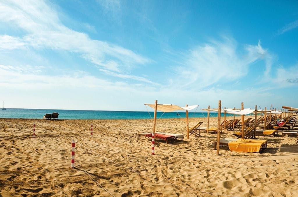 OA Salinas Sea