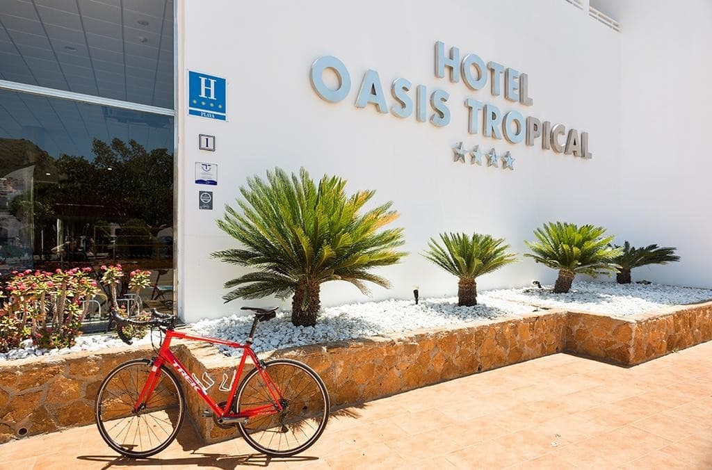 Best Oasis Tropical