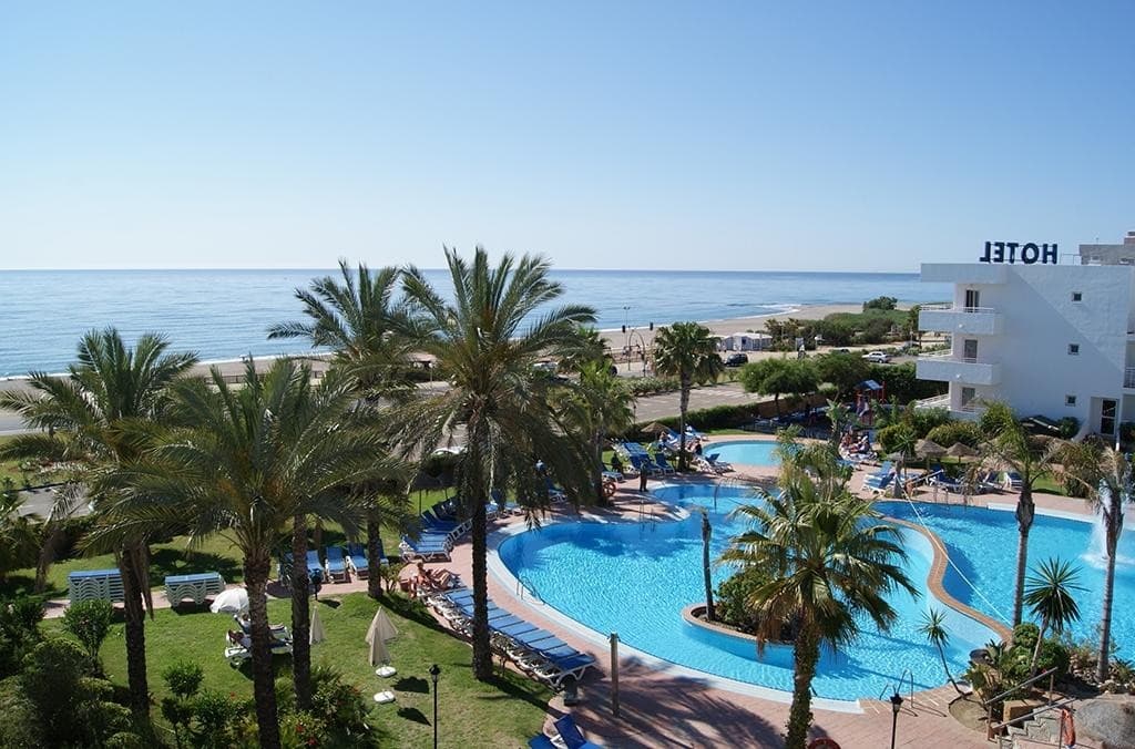 Best Oasis Tropical