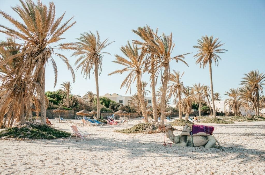 Djerba Castille