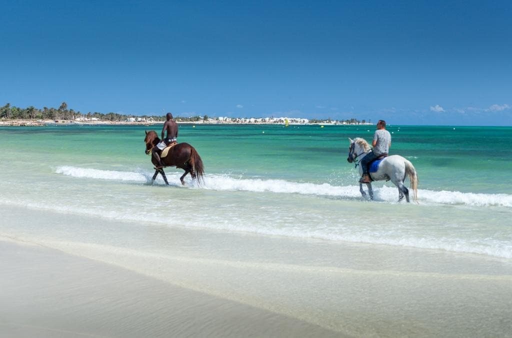 Hari Club Djerba