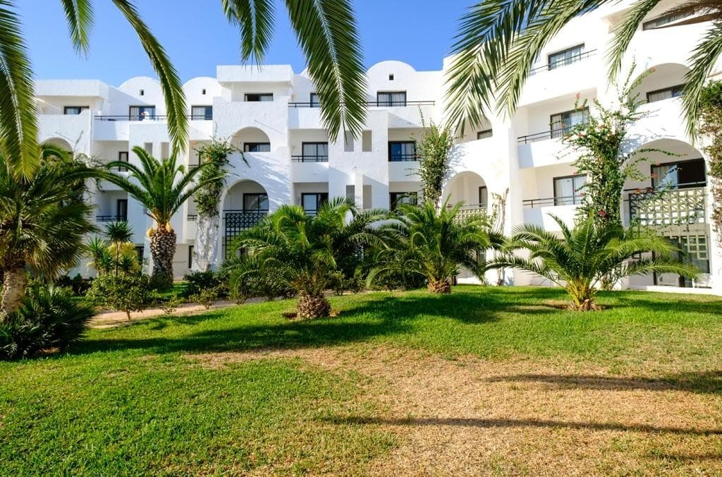 Palm Azur