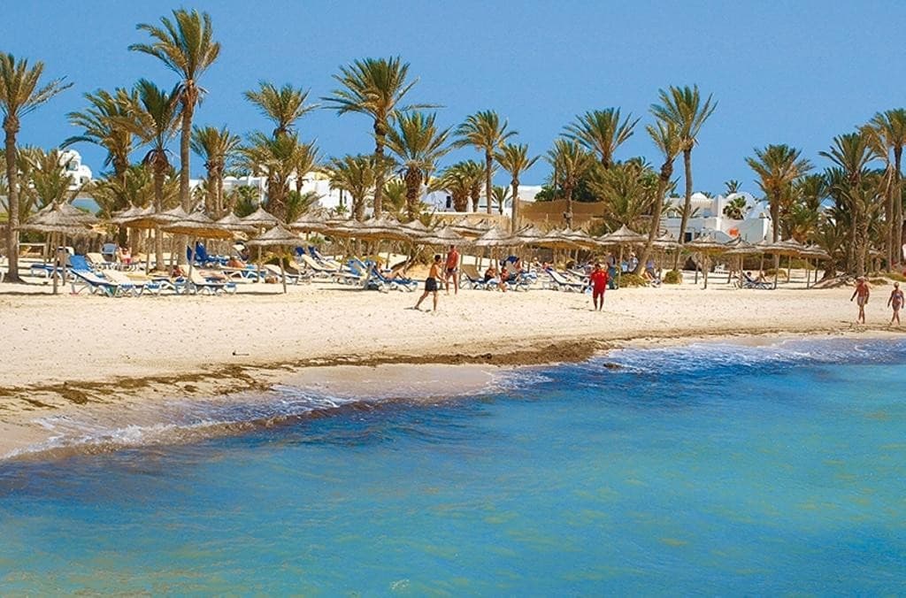 Palm Azur
