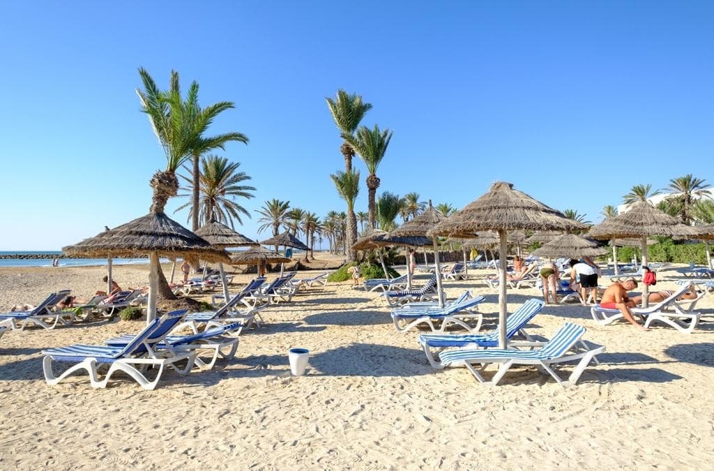 Palm Azur