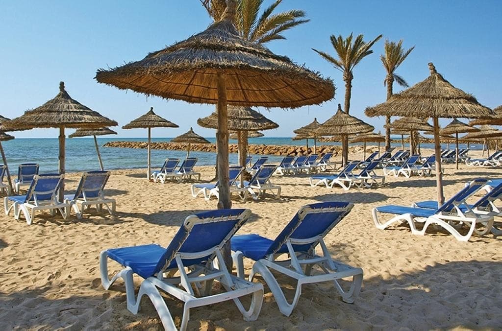Palm Azur