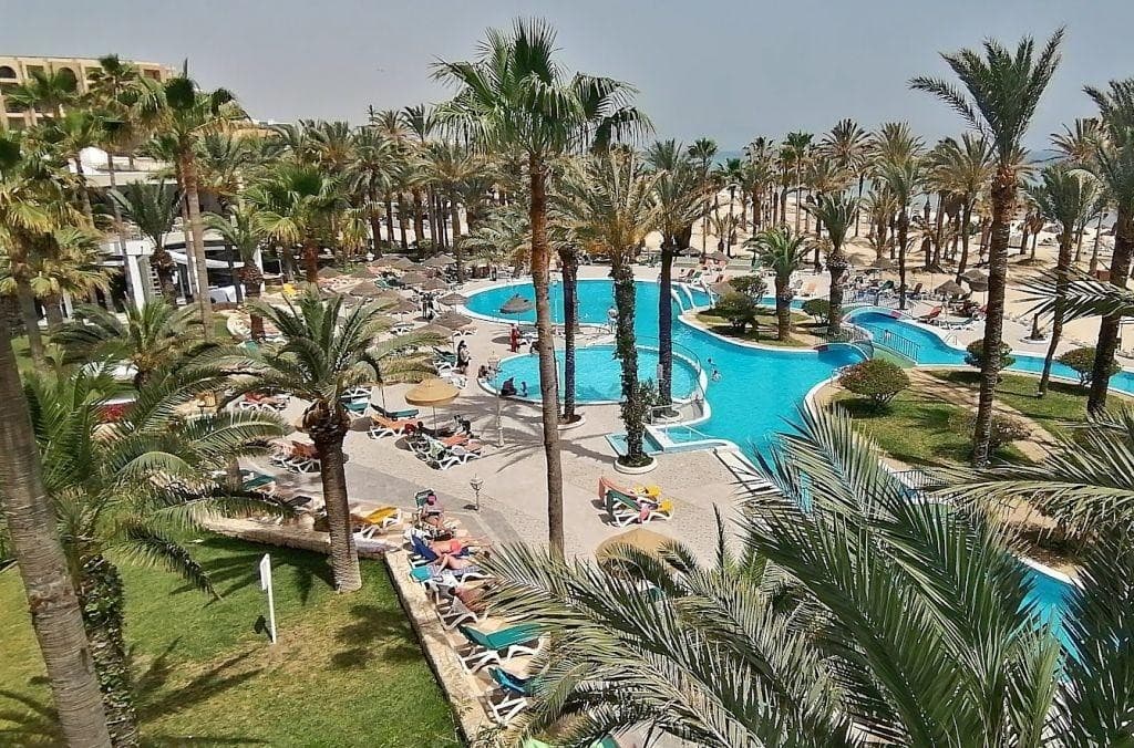 Riadh Palms