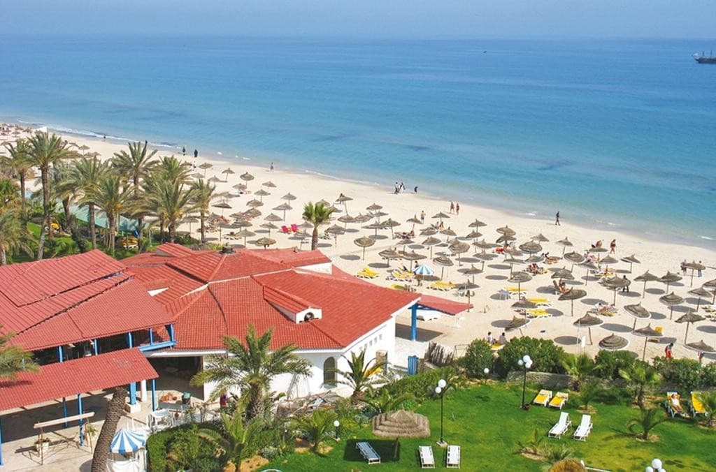 Riadh Palms