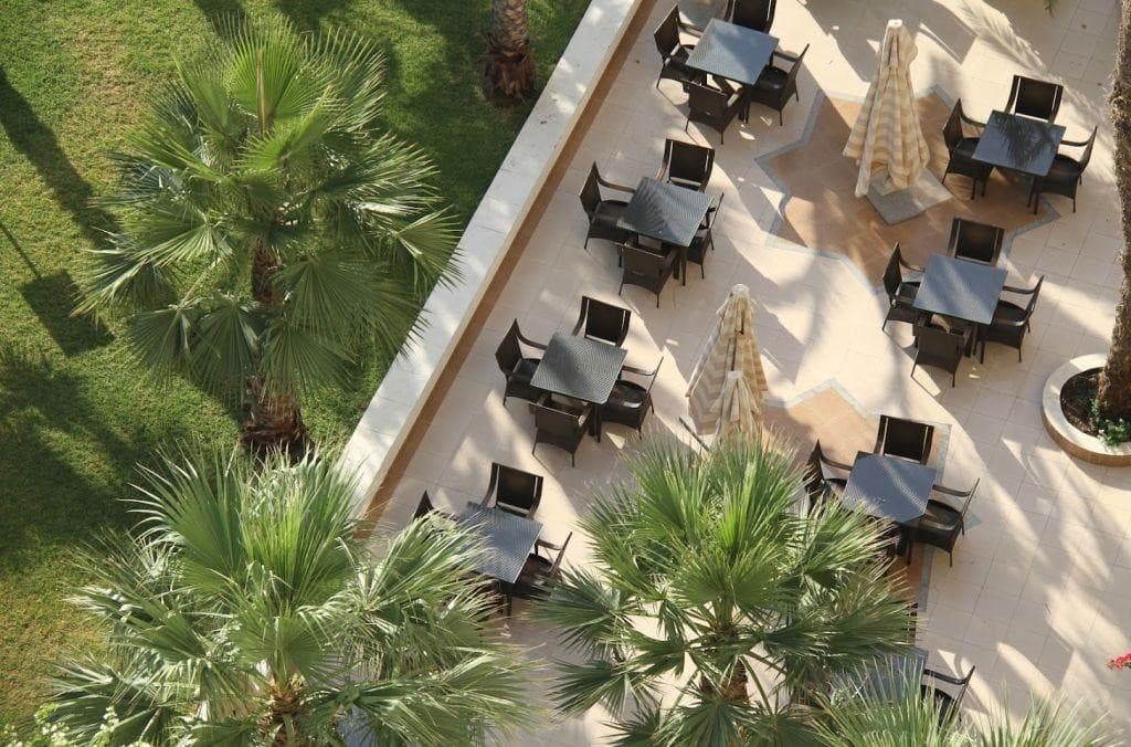 Riadh Palms