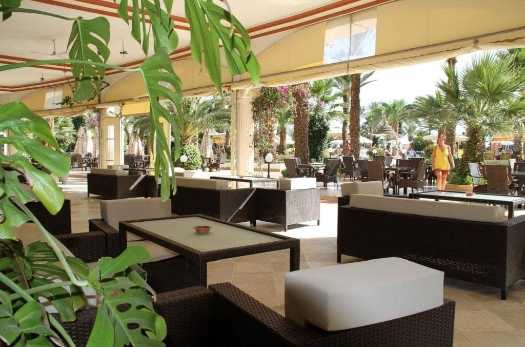 Riadh Palms