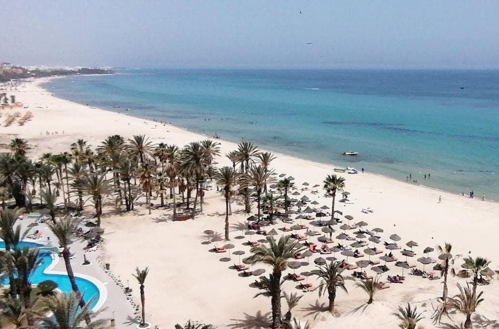 Riadh Palms