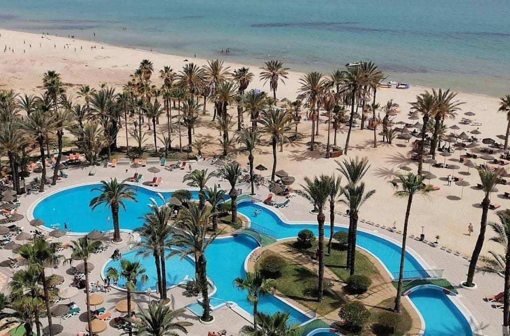 Riadh Palms