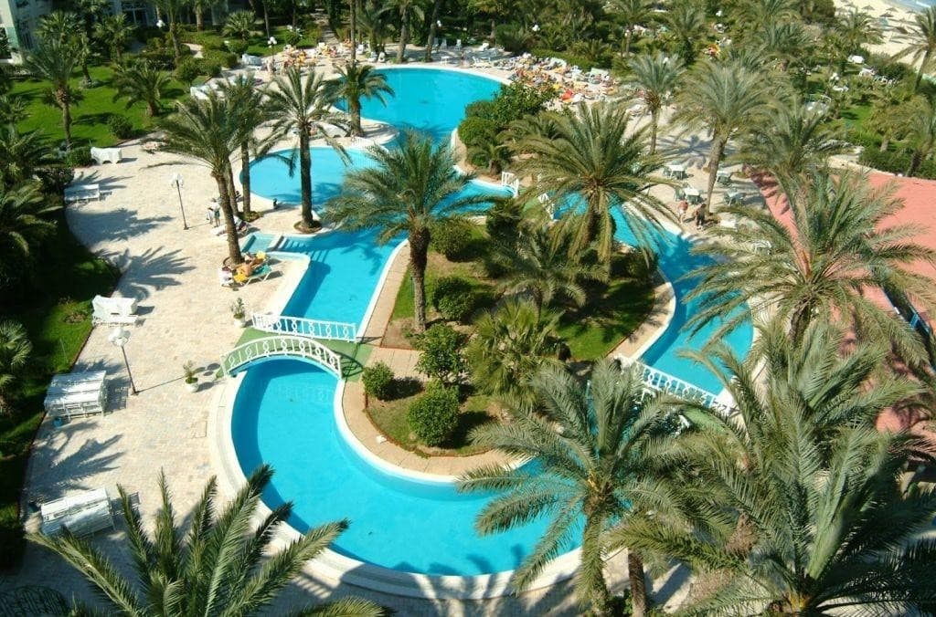 Riadh Palms