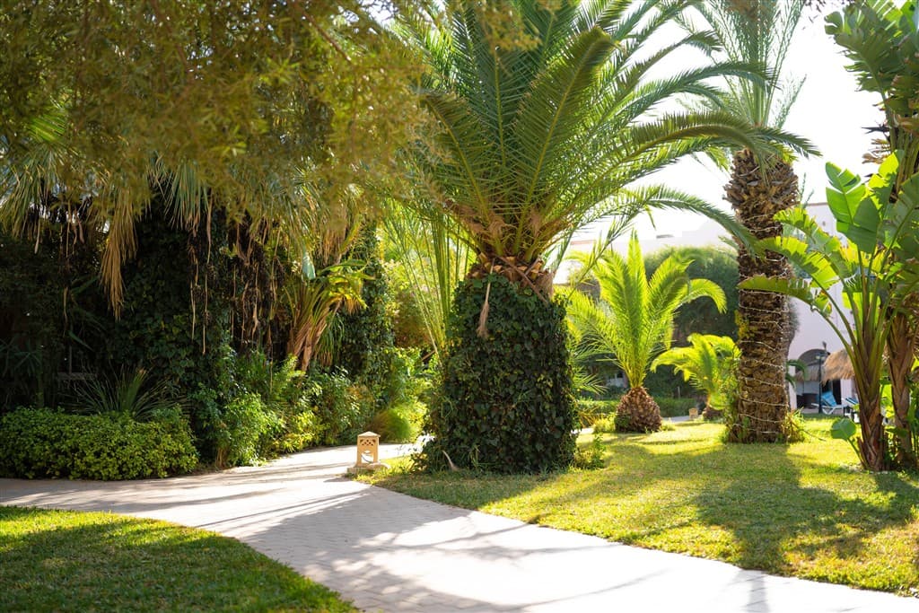 Eden Yasmine Resort & Spa