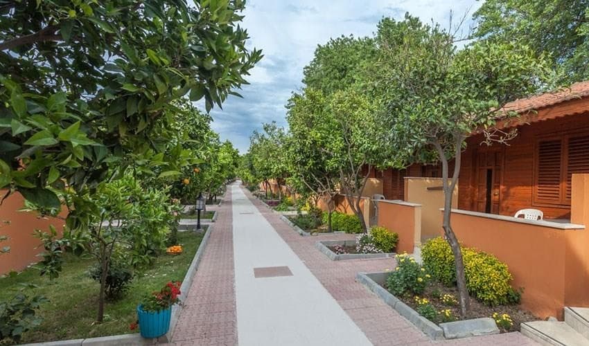 Ozlem Garden