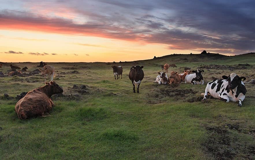 Letecký zájazd na Island