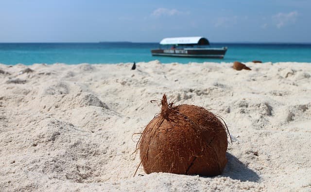 Magický Zanzibar – Ostrov korenia a tyrkysového mora