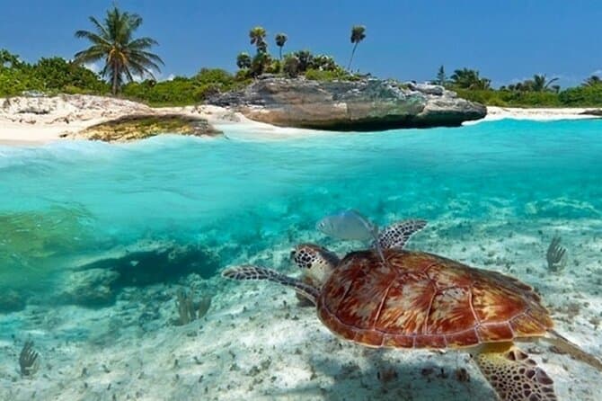 Magický Zanzibar – Ostrov korenia a tyrkysového mora
