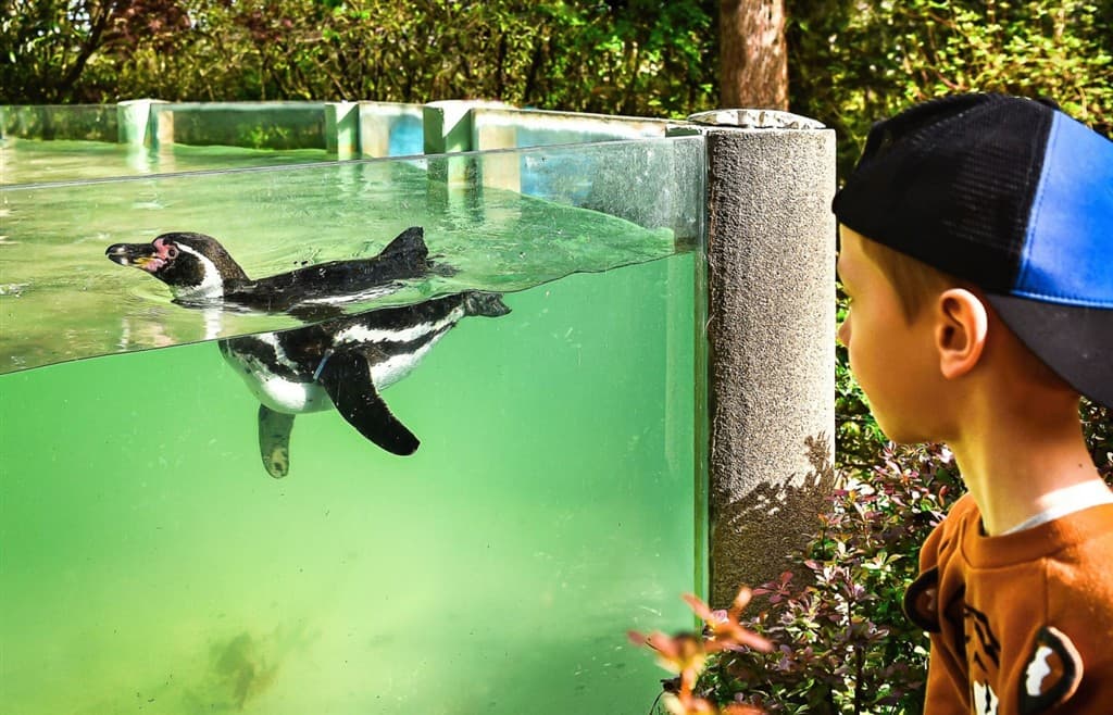 Zájazd do zlínskej ZOO a na zámok Lešná
