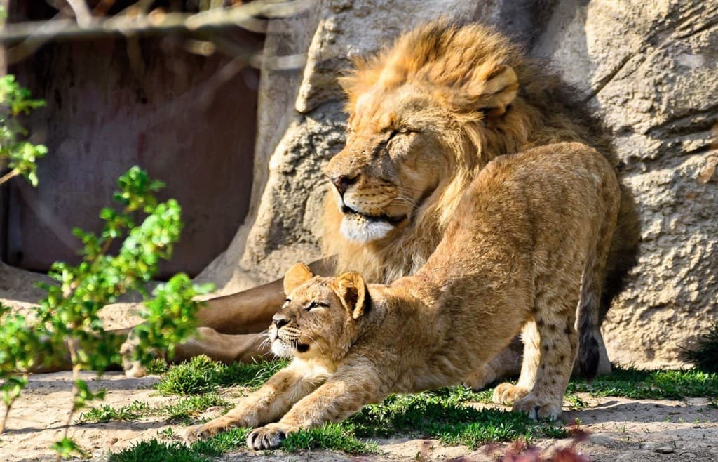 Zájazd do zlínskej ZOO a na zámok Lešná