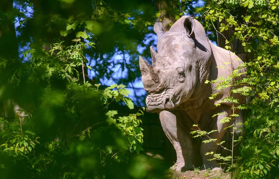 Zájazd do zlínskej ZOO a na zámok Lešná