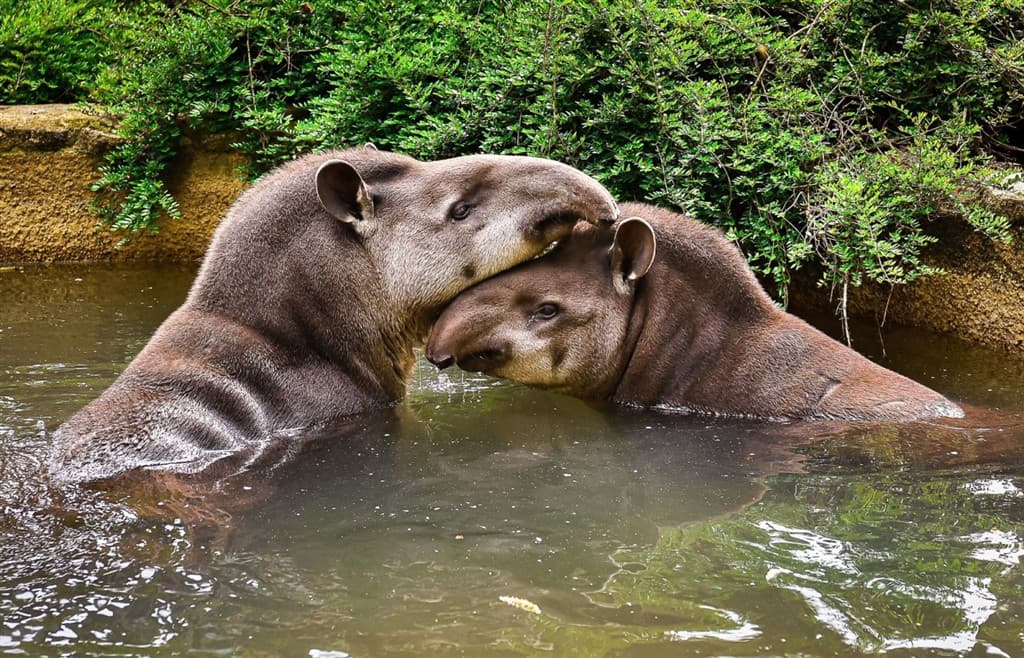 Zájazd do zlínskej ZOO a na zámok Lešná