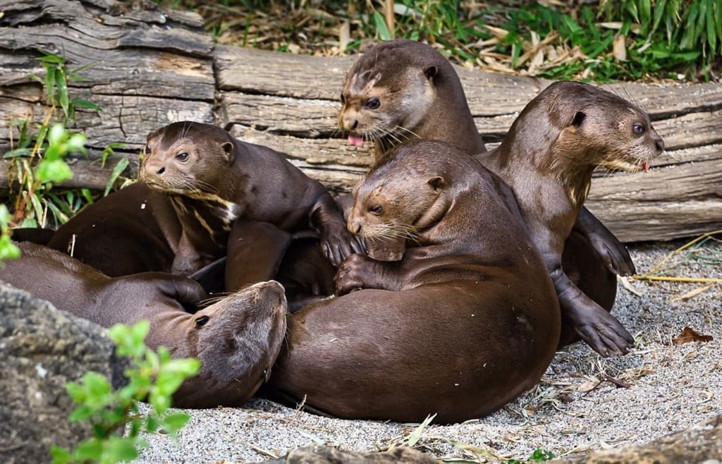 Zájazd do zlínskej ZOO a na zámok Lešná