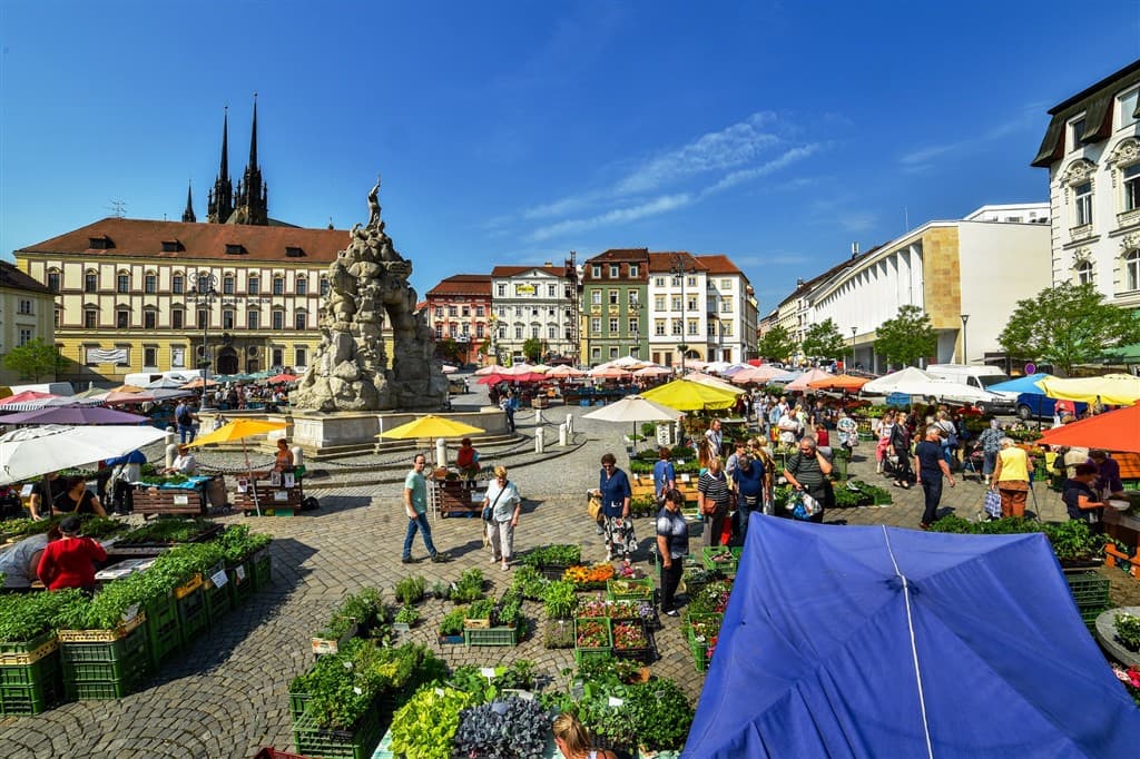 Zájazd do Brna s návštevou ZOO