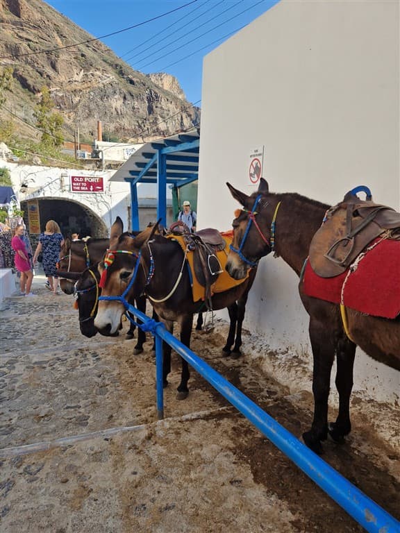 Letecký zájazd na Grécke Santorini