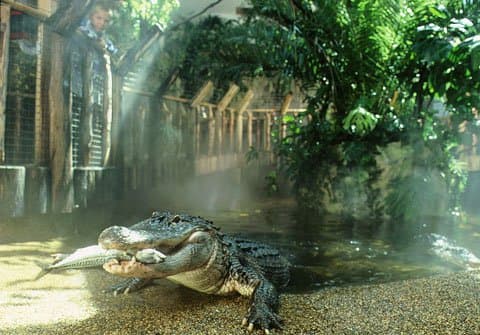 Zájazd do Budapešti s návštevou Tropicaria Oceanaria
