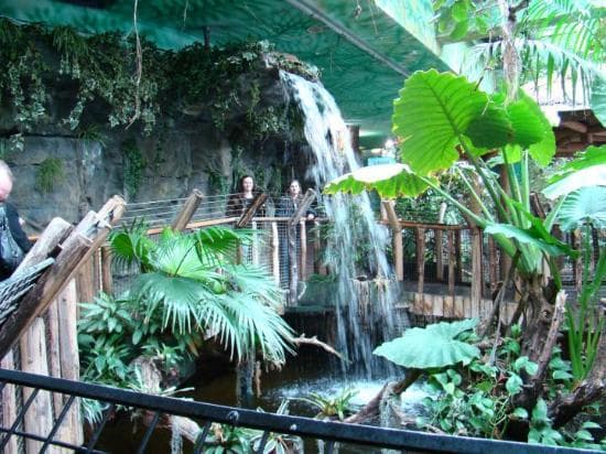 Zájazd do Budapešti s návštevou Tropicaria Oceanaria