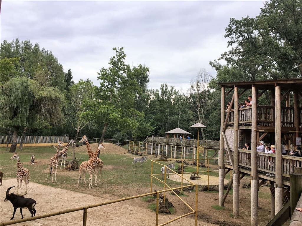 Zájazd do ZOO v Nyiregyháza