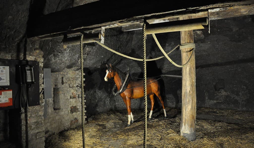 Zámok v Laxenburgu s plavbou a čokoládovňa