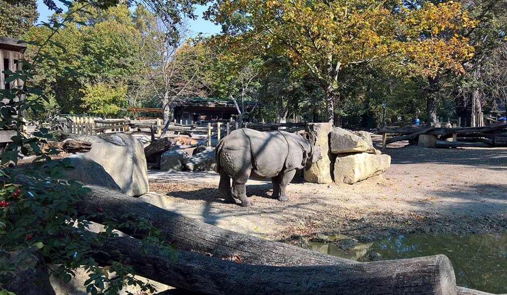 Jeden deň v Schonbrunne s návštevou ZOO